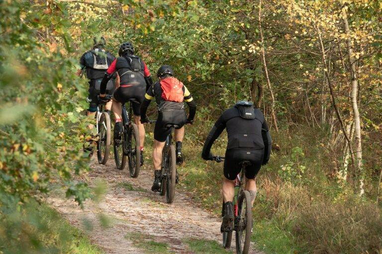 Cultural Impact of IPL: Celebrating Diversity in Cricket