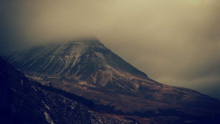 How To Use Reddy Anna 11Xplay App For Gaming?